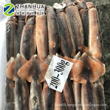 frozen whole round squid argentina calamary squid illex 300-400g